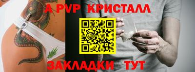 тгк Бийск