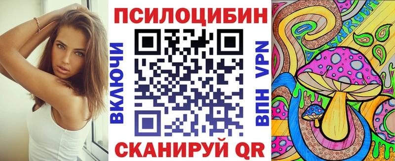 Псилоцибиновые грибы мицелий  Кизилюрт 