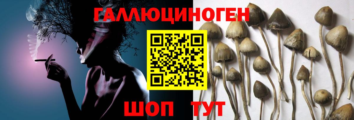 Псилоцибиновые грибы мухоморы  Вход с VPN  Галлюциногенные грибы Magic Shrooms  Кизилюрт 